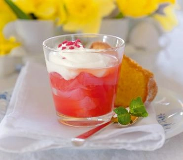 2015-04-rhabarberkompott-mit-vanille-joghurt-rahm
